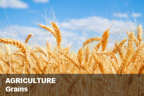Separación agrícola